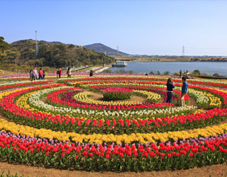 Srinagar Tour