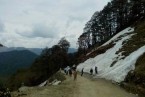 Shoja and Jalori Pass Excursion