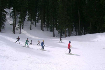 Chandigarh Narkanda Sarahan Kalpa Shimla Tour